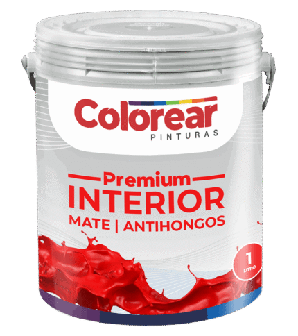 BASE PREMIUM INTERIOR (PASTEL) X 0